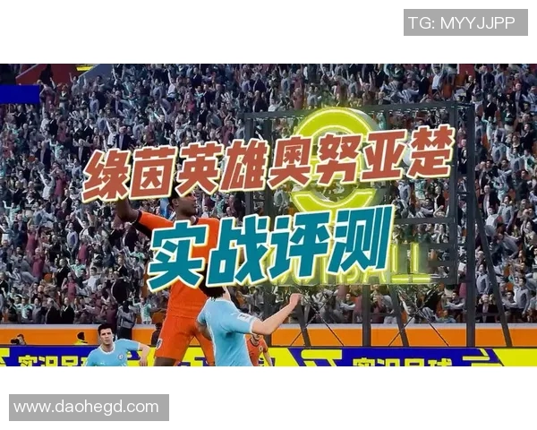 默默无闻的绿茵英雄那些未被世人知晓的足球明星故事