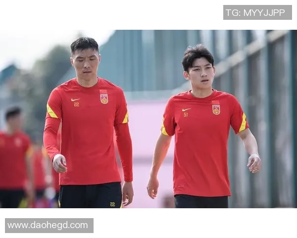 尼姆与第戎激战正酣比分揭晓引发球迷热议